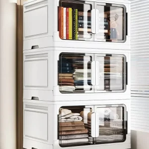 Transparent Storage Bins